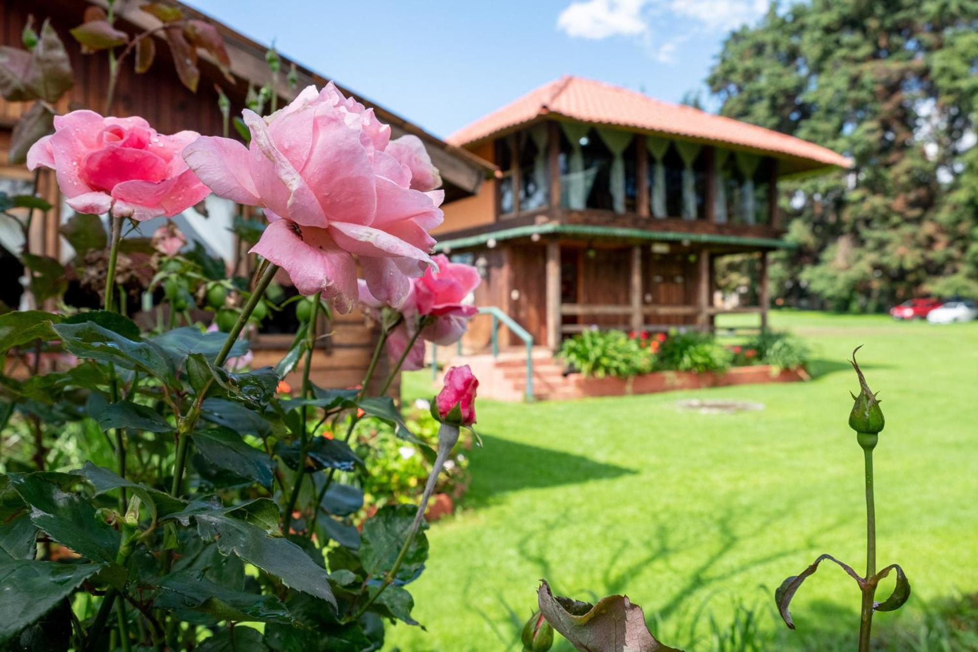 Zirahuen Forest And Resort Екстер'єр фото